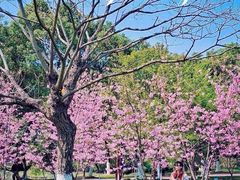 -艾溪湖湿地公园