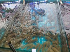 -渡海小渔村.老辈日照菜