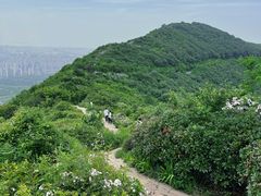 -灵岩山风景区