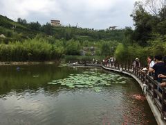 -白鹿原影视城
