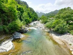 -黑河国家森林公园