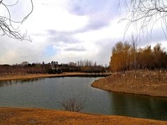 -大兴滨河森林公园