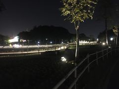 -映月湖公园