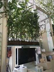 点击看大图 -卡尔诗·科技美肤连锁