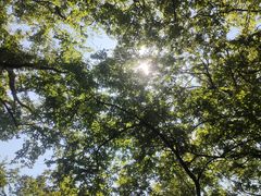 -幕燕滨江·燕子矶公园