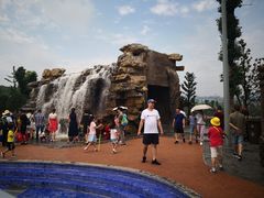 -枫香湖儿童公园