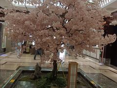 -添赐温泉馆(上南路店)
