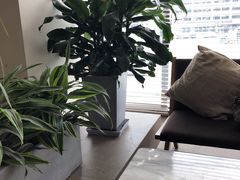 -Bracket Coffee(工体店)