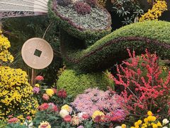 -杭州植物园