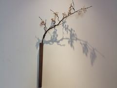 -山杏yama-katsu·吉列炸物