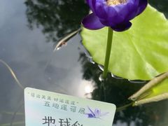 -钱王祠