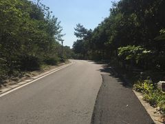 -羊山湖公园