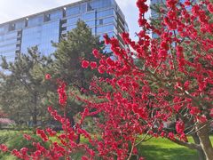 -唐城墙遗址公园