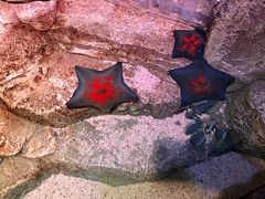 -沈阳海洋探索中心