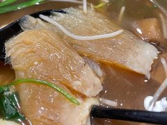 -大中鱼翅 Taitong Shark Fin