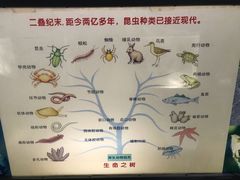 -上海昆虫博物馆