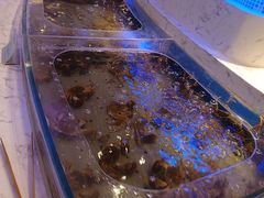 -澜悦港海鲜体验主题餐厅