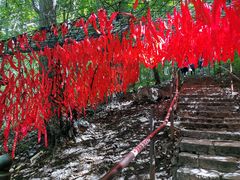 -帽儿山风景区