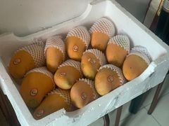 -江杨农产品批发市场