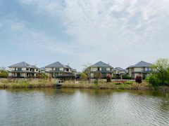 -杭州湾海上花田景区