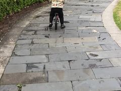 -趣动熊运动发展中心(乐坊校区)