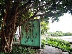 -顺峰山公园