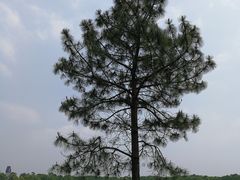 -美兰湖景区