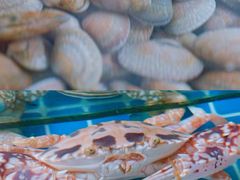 -三亚火车头万人海鲜广场