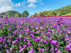 -广州市石门国家森林公园