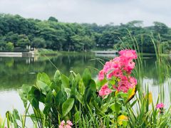 -东莞植物园