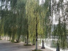 -长安大学(北校区)