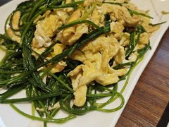 -靖远尕六美味羊羔肉