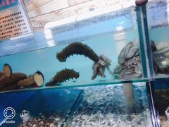 -蟹谢蒸鲜自助餐厅