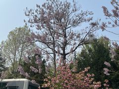 -太阳宫公园
