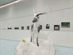 -中国湿地博物馆