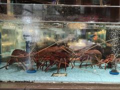 -阿伟海鲜楼·福建菜(延寿店)