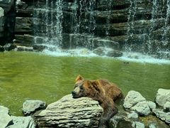 -北京野生动物园