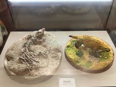 -辽宁古生物博物馆