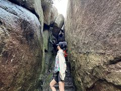 -鲁山国家森林公园