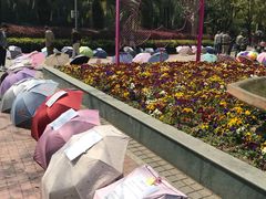 -人民公园-相亲角