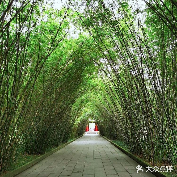 望江楼，望江流