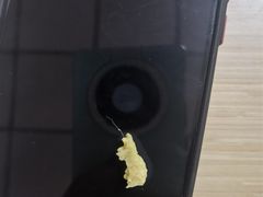 -津门永胜包子铺(哈尔滨道总店)