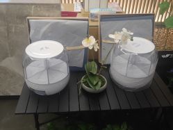 -圣梦亲体美肤生活馆