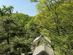 -天津盘山风景名胜区