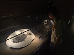 -中华赏石园