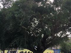 -侯臣咖啡文化村