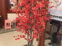 -同和居(什刹海店)