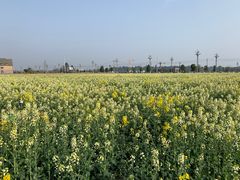 -中国天府农业博览园