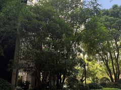 -翠湖天地隽荟都