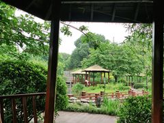 -成飞公园